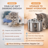 Cat Water Dispenser Fountain