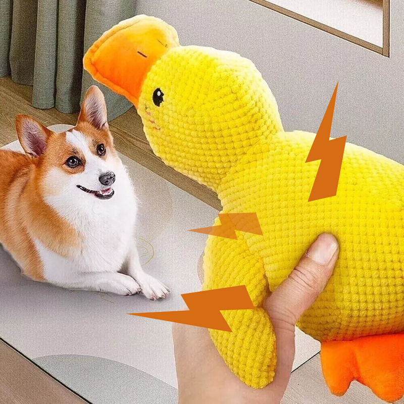 Calming Duck Toy / 50% OFF Today Only!