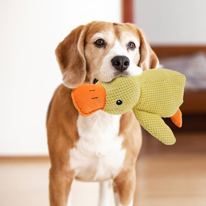Calming Duck Toy / 50% OFF Today Only!