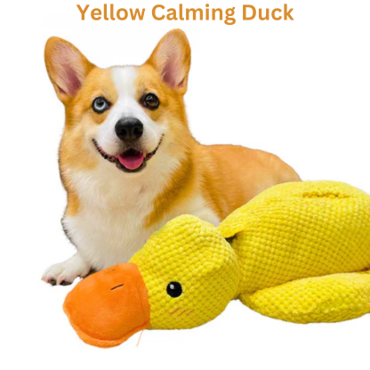 Calming Duck Toy / 50% OFF Today Only!