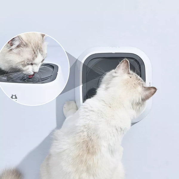 Dust Free Non Spill Water Bowl