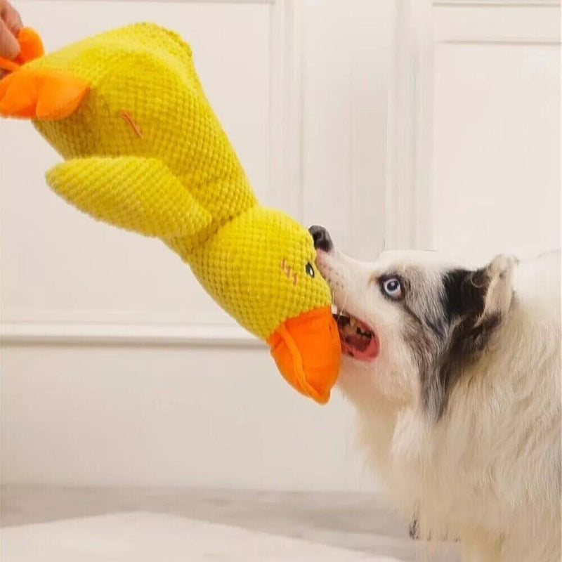 Calming Duck Toy / 50% OFF Today Only!